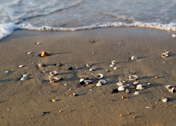 Colorful With Pool *